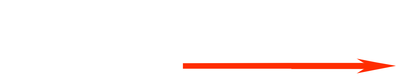 BRAVADA